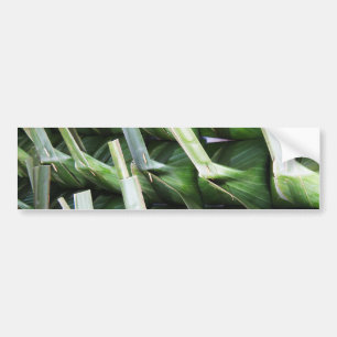 Wrapped Banana Leaf Packets Bumper Sticker