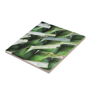 Wrapped Banana Leaf Packets Ceramic Tile