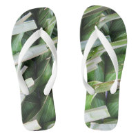 Wrapped Banana Leaf Packets