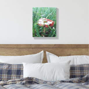 Wrapped Canvas