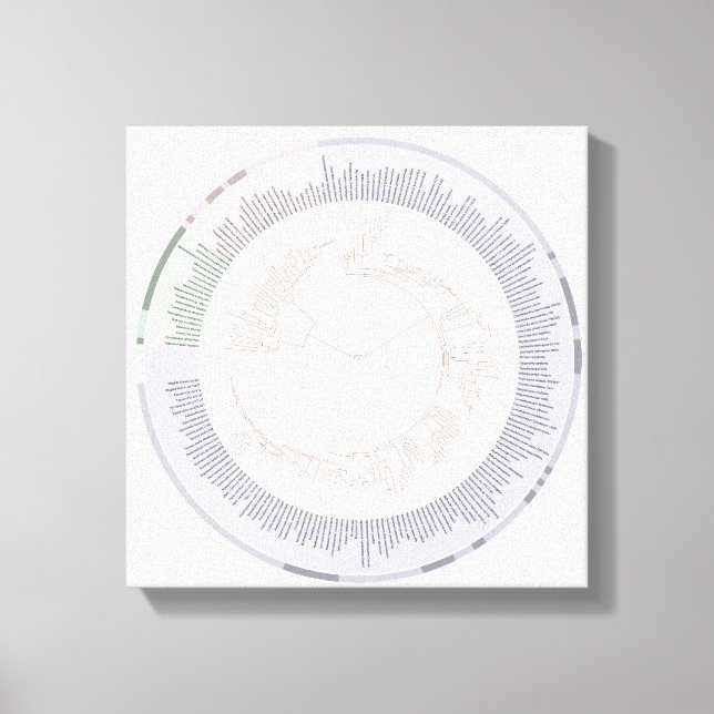 wrapped canvas A phylogenetic tree of life Chart (Front)