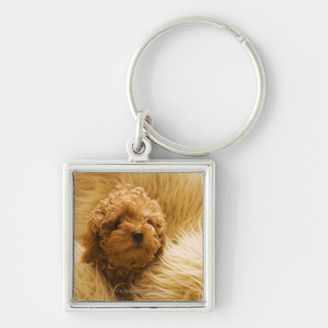 Wrapped up Poodle Key Ring (Front)