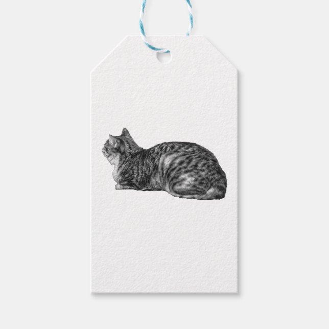 Wrapped with Tabby Charm Gift Tags (Front)