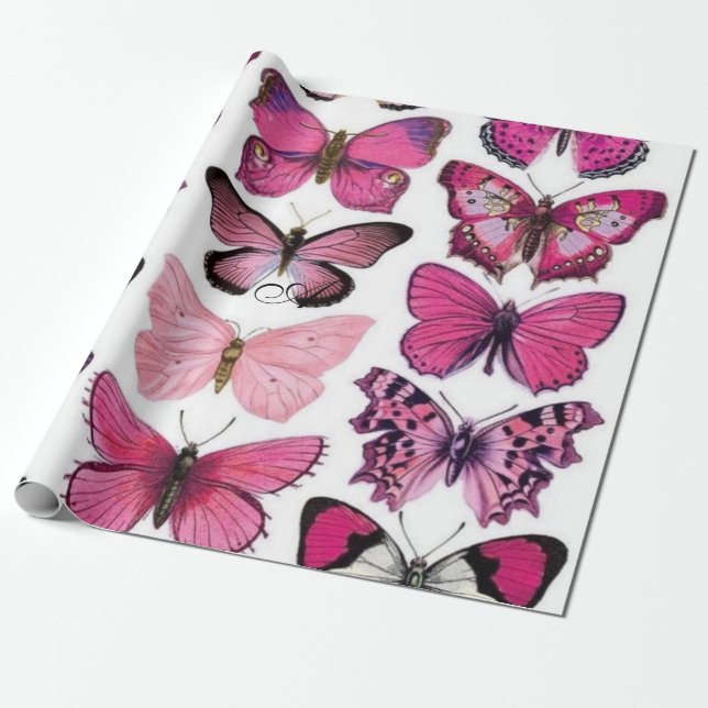 wrapping paper (Unrolled)