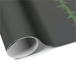 wrapping paper