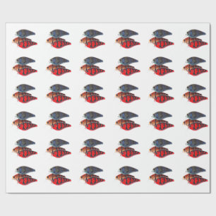 Wrapping Paper Bass Fishing Crankbait
