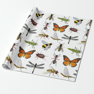 Wrapping Paper COOL INSECTS