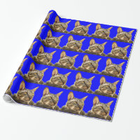 Wrapping Paper |Cornish Rex Tiger Cat Blue