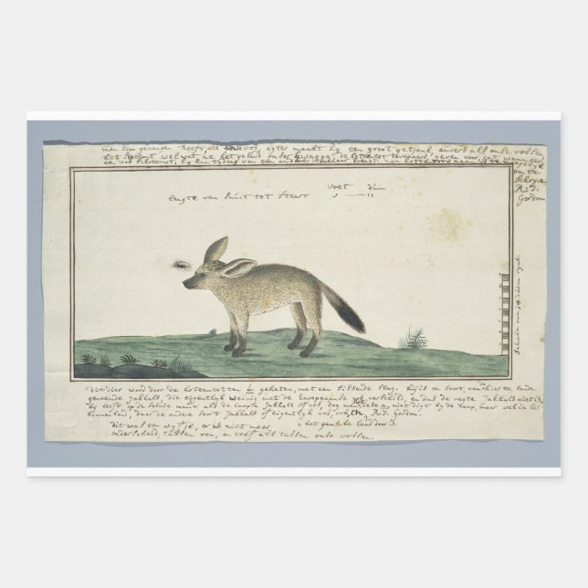 Wrapping Paper Flat Sheet Set of 3 (Front)