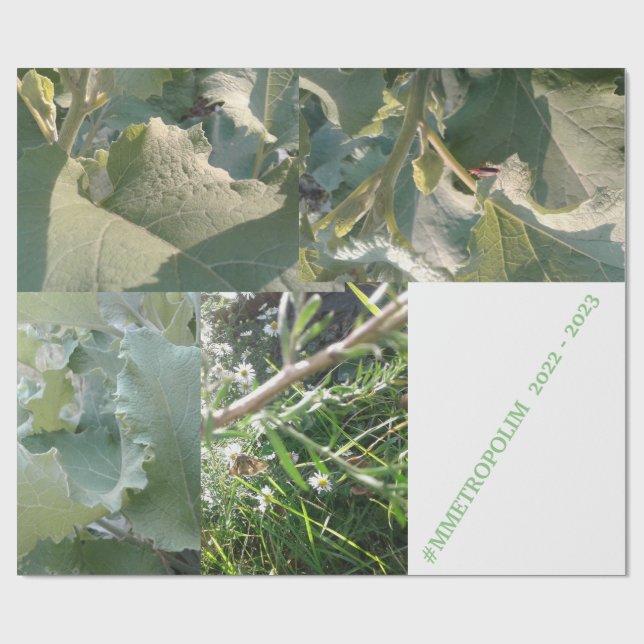 Wrapping Paper/MMETROPOLIMdesign Paper (Flat)