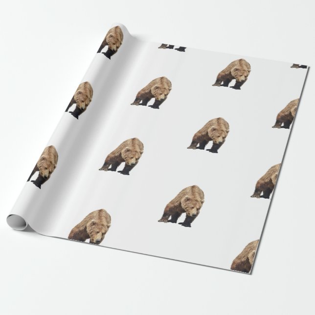 wrapping paper of grizzly bear (Unrolled)