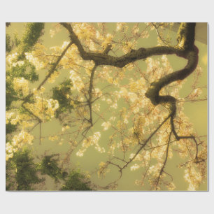 Wrapping Paper Roll Cherry Blossom Branches Design