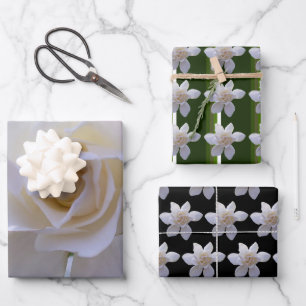 Wrapping Paper Set - Gardenias
