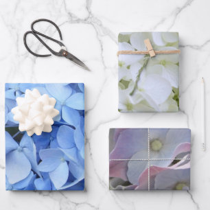 Wrapping Paper Set - Hydrangea Collection II