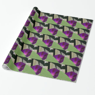 Wrapping Paper with Morning Glory Flowers