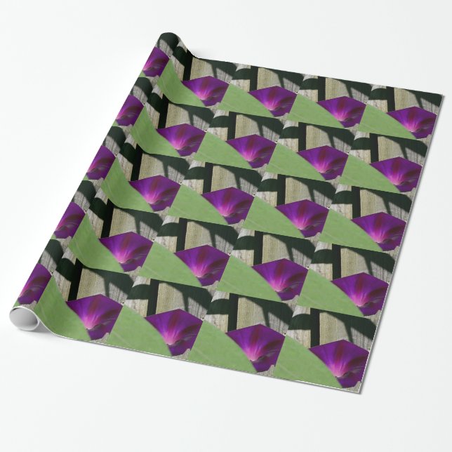 Wrapping Paper with Morning Glory Flowers (Unrolled)