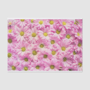 Wrapping Tissue - Pink Gerbera Daisies Paper