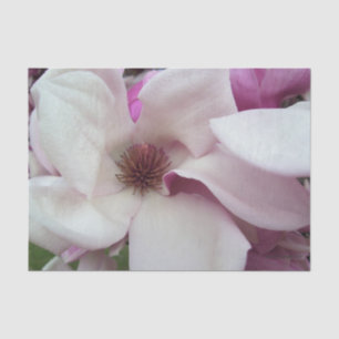 Wrapping Tissue - Saucer Magnolia Bloom Paper