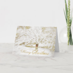 Wreath on Snow Tree Holiday Card