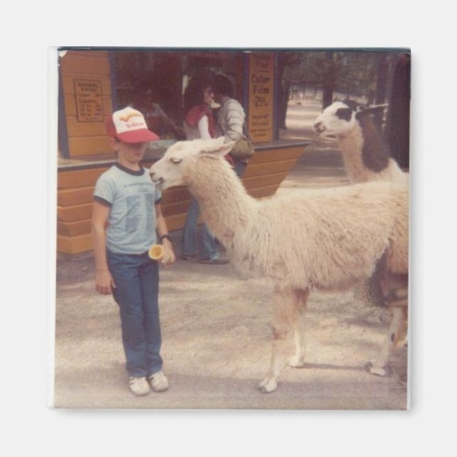 Wrecked 'Um Biting Llama Magnet (Front)