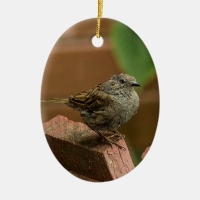 Wren bird ceramic tree decoration (Front)