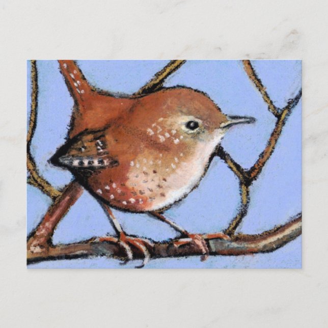 WREN, BIRD, in Oil Pastel Postcard (Front)