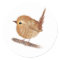 Wren Bird Personalised 