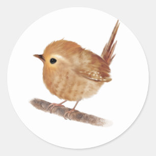 Wren Bird Personalised Classic Round Sticker