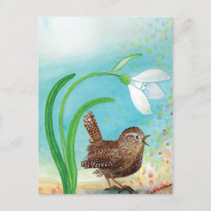 Wren Bird Sing at Dawn In the Spring  Postcard