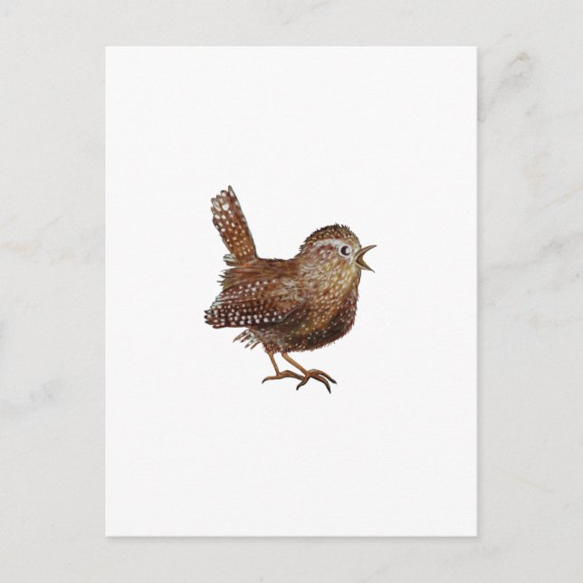 Wren Bird singing loud and beautiful song Postcard (Front)