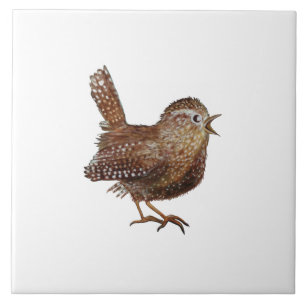 Wren Bird (Troglodytes Troglodytes) Illustration Ceramic Tile