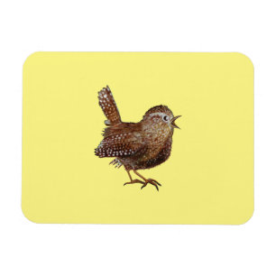 Wren Bird (Troglodytes Troglodytes) Magnet