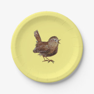 Wren Bird (Troglodytes troglodytes)    Paper Plate