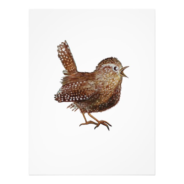 Wren Bird (Troglodytes Troglodytes) Photo Print (Front)