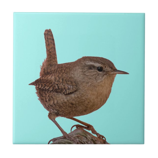 Wren Ceramic Tile (Front)