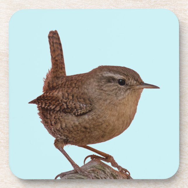 Wren Coaster (Front)