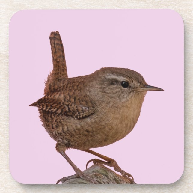 Wren Coaster (Front)