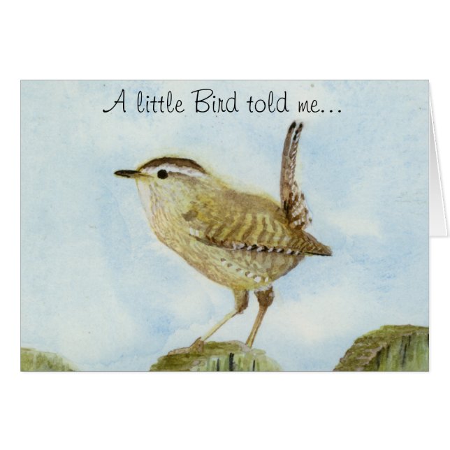 Wren Congratulations (Front Horizontal)