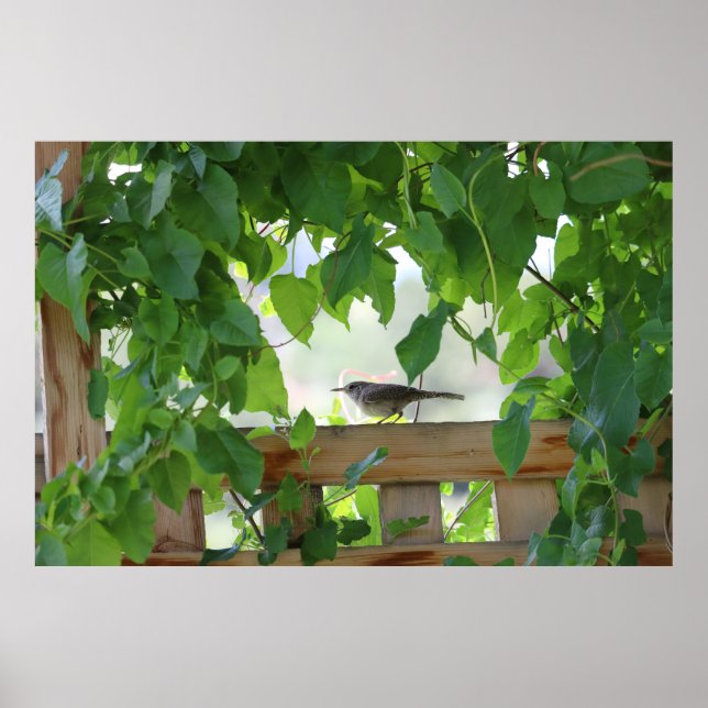 Wren In Arbor Poster (Front)