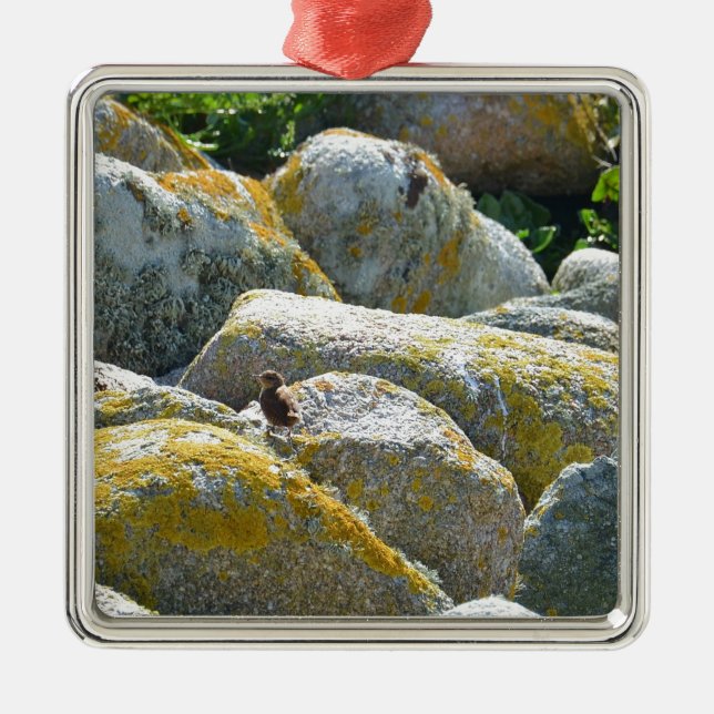 Wren Metal Ornament (Front)