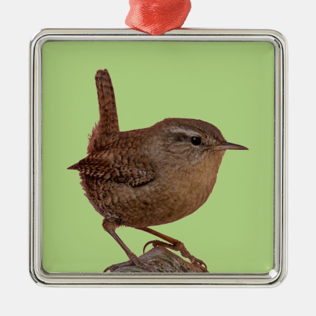 Wren Metal Ornament (Front)