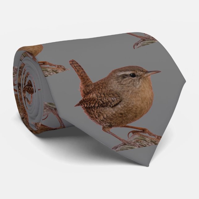 Wren Neck Tie (Rolled)