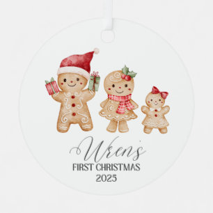 Wren Personalized Baby's First Christmas Metal Tree Decoration