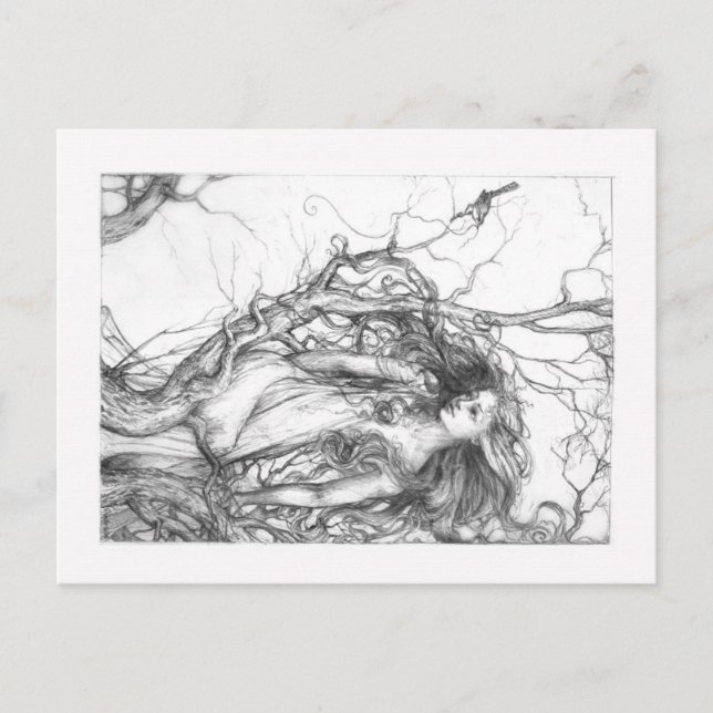 Wren Postcard (Front)