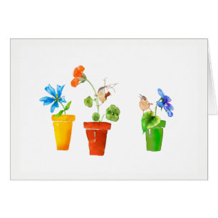 Wrens and Flowerpots