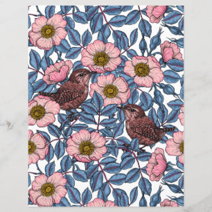 Wrens in the roses