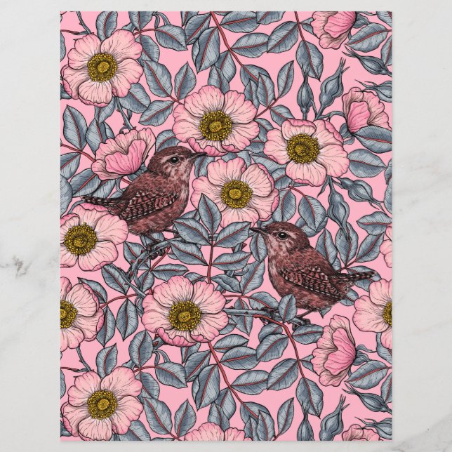 Wrens in the roses (Front)