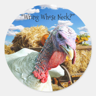 “Wring Whose Neck?” Thanksgiving Holiday Classic Round Sticker