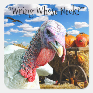 “Wring Whose Neck?” Thanksgiving Holiday Square Sticker