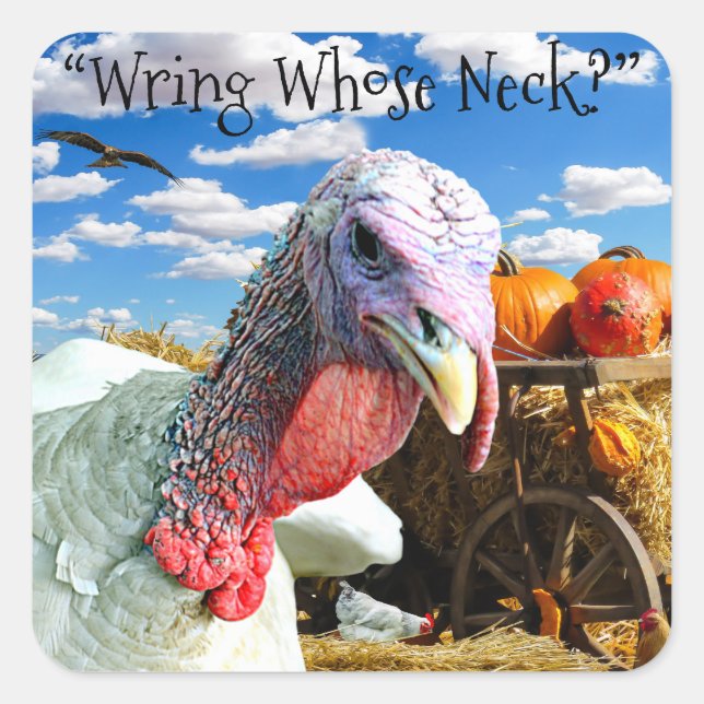 “Wring Whose Neck?” Thanksgiving Holiday Square Sticker (Front)